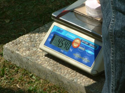 Osztrak F3A verseny 041