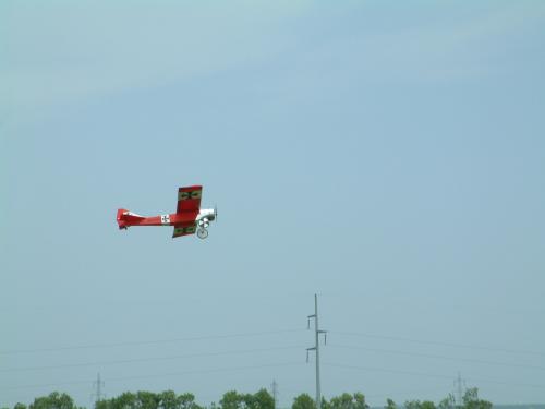 Bockfliess 090