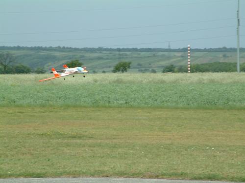 Bockfliess 099