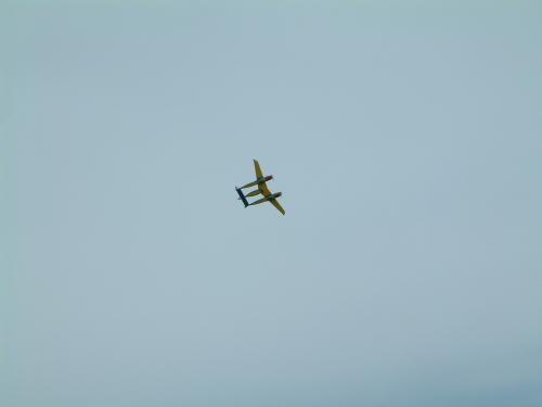 Bockfliess 105