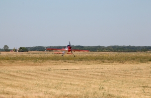 IMG 3508