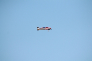 IMG 3517