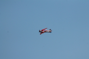 IMG 3519