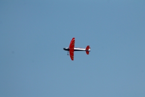 IMG 3521