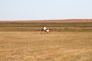 IMG 3539