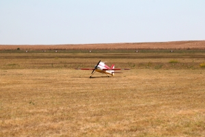 IMG 3540