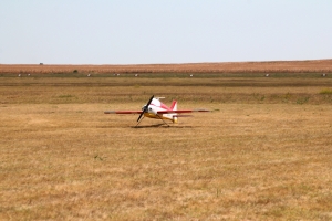 IMG 3541