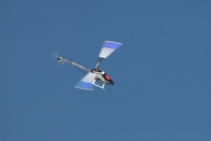 IMG 8630