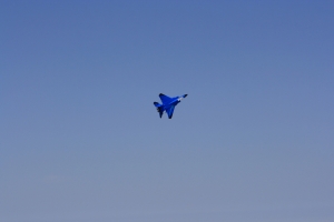 MG 9965