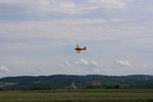 MG 2711