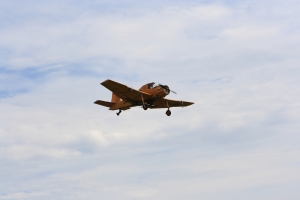MG 2718