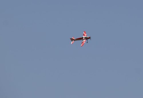 20250608-IMG 9709