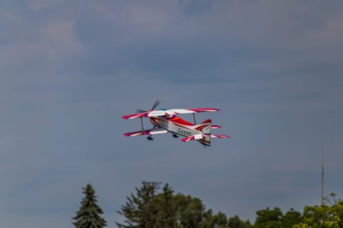 20250608-IMG 9763