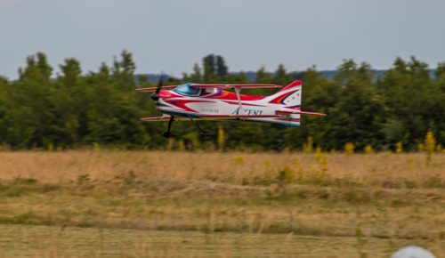 20250608-IMG 9828