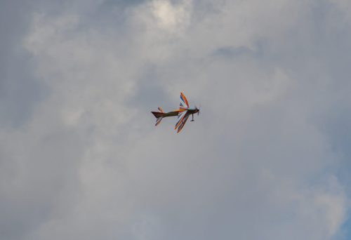 20250608-IMG 9832